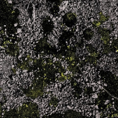 King Gizzard & The Lizard Wizard - Infest the rats' nest (LP)